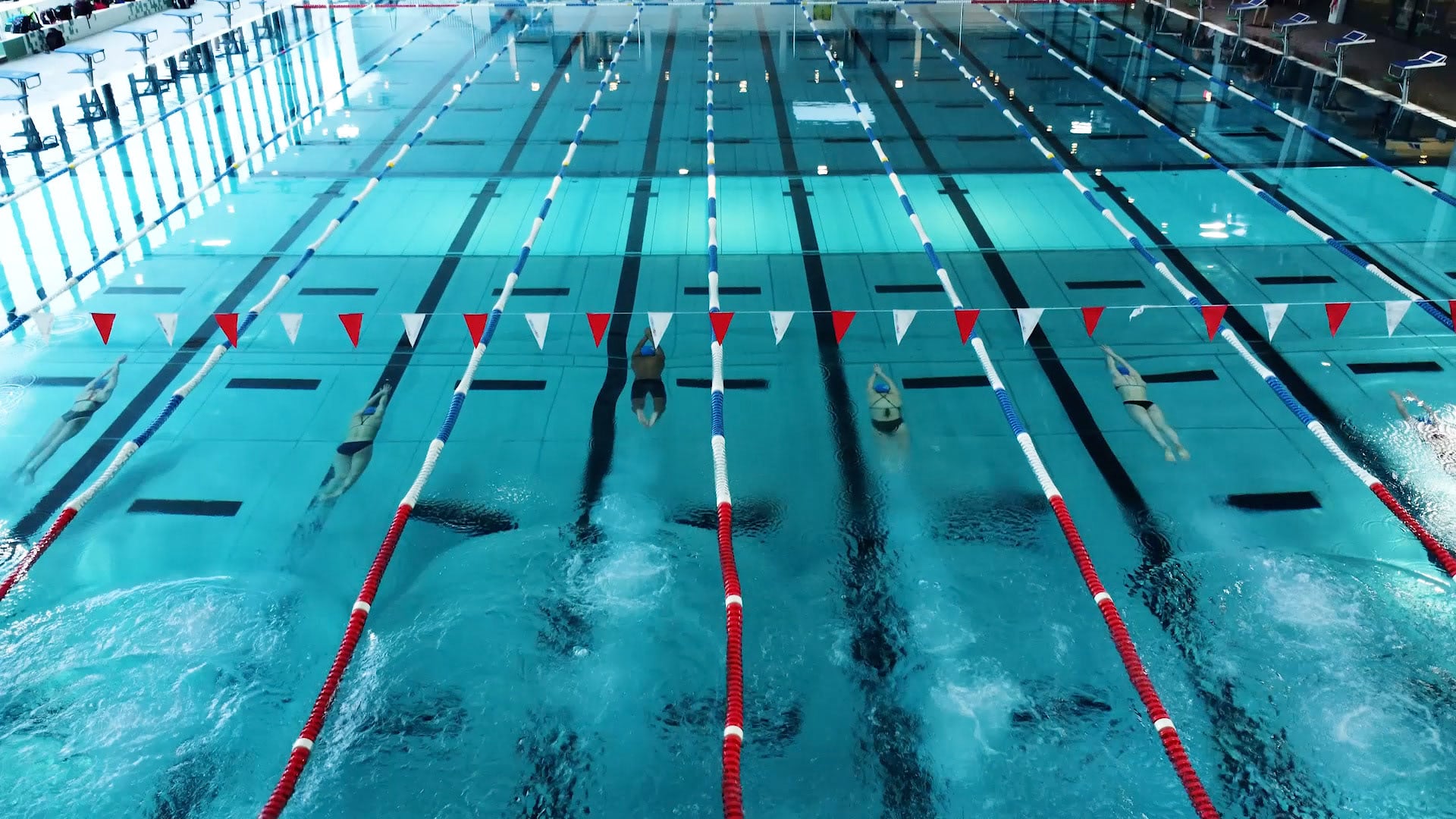 Vogelperspektive eines Schwimmbeckens